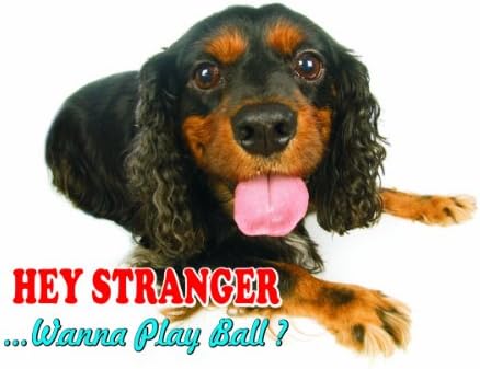 Atenção - Cuidado / Fun Sign Sign Toy Trawler Spaniel Dog para sua casa ou casa SF2247 Tamanho A5