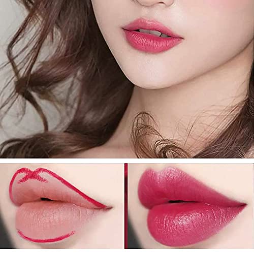 Mqshuhenmy 16 colorido com lipstick lip lip liner combatil, lipstick de ponta dupla, revestimento labial