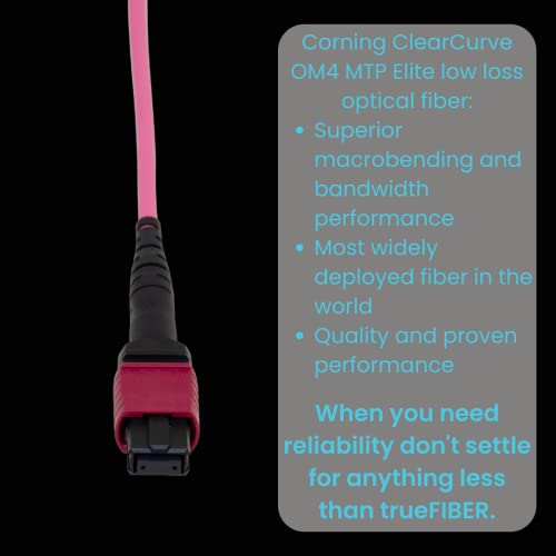 TrueFiber MTP/MPO Fiber Patch Cable, cabo de remendo de fibra óptica de 30m OM4 MTP/MPO, 12 fibras Tipo