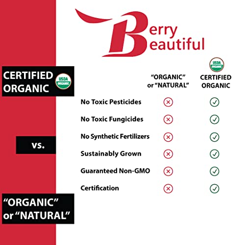 Berry Bela Organic Cranberry Seed Oil - Óleo hidratante para rosto, corpo e cabelo - Fria pressionado