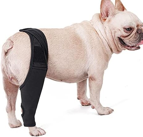 Elitez Dog Knee Brace, aparelho de perna de cachorro para a perna traseira, equipamento de proteção