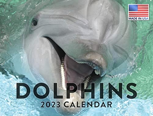 Calendário de golfinhos 2023 calendários de parede mensal de parede