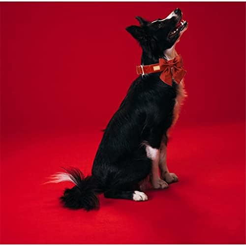 Gretd Red Silk Dog Collar Colar com colarinho de cachorro Ajuste para colarinho de cachorro