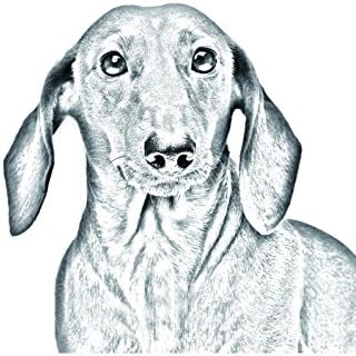 Dachshund, lápide oval de azulejo de cerâmica com uma imagem de um cachorro