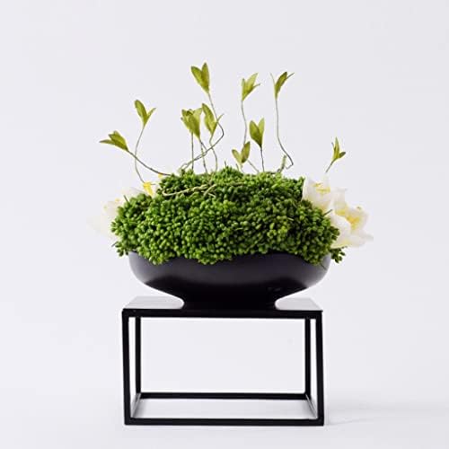 SDGH Green Plants, Bonsai Decorações, sala de estar, escritório de vendas de arte floral, área de negociação,