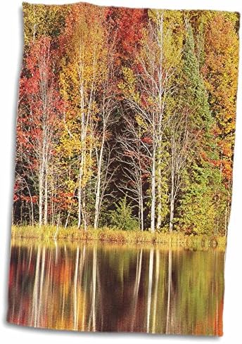 Árvores de Florena 3drose - Árvores de ouro verde vermelho refletidas no lago - toalhas