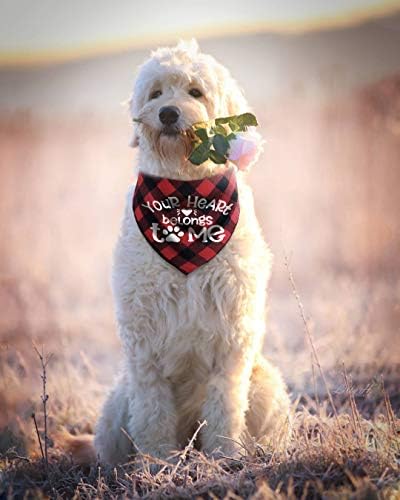 DOG Valentines Day Bandana, lenço de cachorrinho xadrez de búfalo vermelho