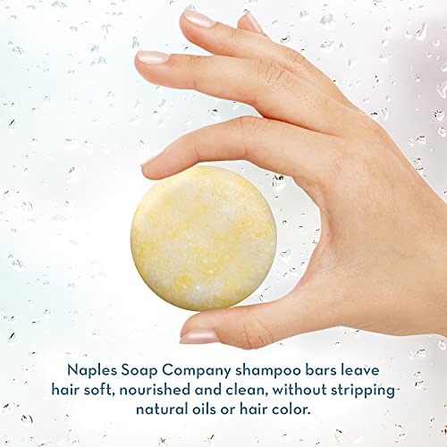 Naples Soap Company Solid Shampoo Bar-Livre de parabenos, álcool, pthalatos-Cabé de pH, pH equilibrado,