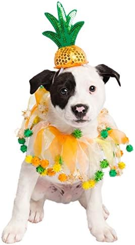 Pet Krewe Chapéu de abacaxi e colarinho se encaixa em cães tamanho pequeno, médio, grande ou extra grande