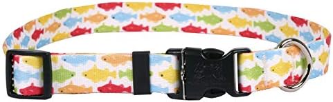 Design de cão amarelo Rainbow Fish Fish Dog Collar, Medium-1 Wide Fits Tamanhos de pescoço de