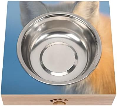 Red Fox Face Dog Cat Bowl Aço inoxidável Anti -vômito alimentador de animais de estimação BONDAS BONLES CONJUNTO