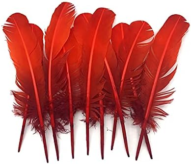 6 peças - Fiery Red Ombre Turquia redonda Tom Wing Quill Feathers | Pena da luz da lua