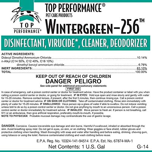 256 PET desinfetante cor: Wintergreen 128 fl oz