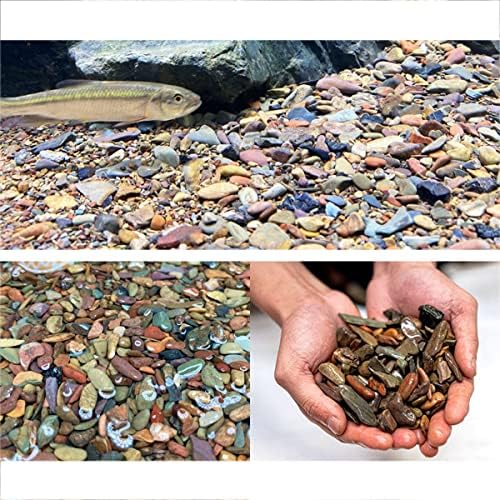 Petphindu 2500g aquário de aquário de peixe kit de peixe tanque de peixes Antecedentes paisagem