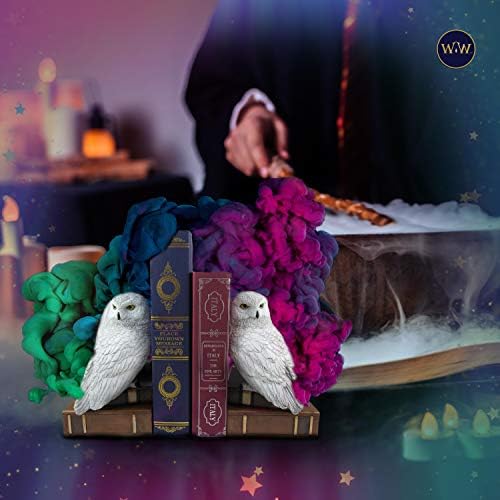 World of Wonders Wisdom and Wizardry Decorative Owl Bookends | Decorações da escola mágica para a casa | Decor