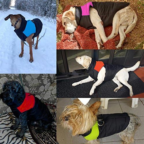 Oi Suyi Dog Roupas Oversize Casa Casaco Vest Ski Dog Dogs Cotton Var