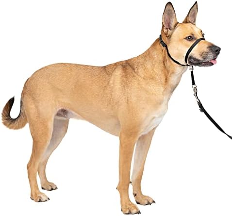 Fácil arnês, médio/grande, preto e gentil líder, colarinho de cabeça, colarinho de cachorro, perfeito para treinamento