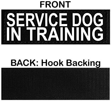 Cão de serviço do Doggie Stylz no colete de treinamento com tiras de gancho e loop e alça - o arnês