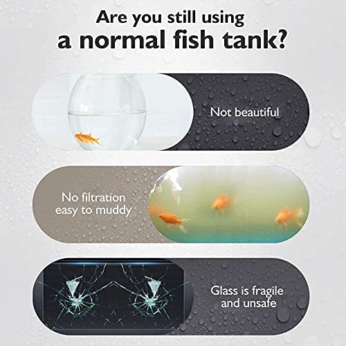 XJJZS Aquário Tank de peixes 5.5L Com filtro de energia transparente iluminação LED colorida para