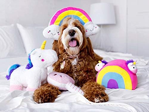 Pata Zippy Squeakie Pattiez - Rainbow Dog Squeak Toy - Squeak Hide and Toss