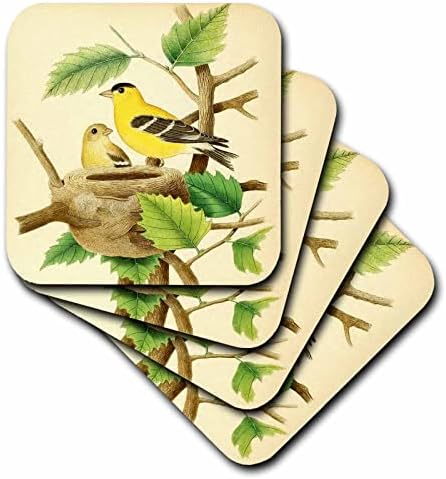 3drose vintage pássaro arte impressão americana Goldfinch lindo pássaros amarelos. - Coasters