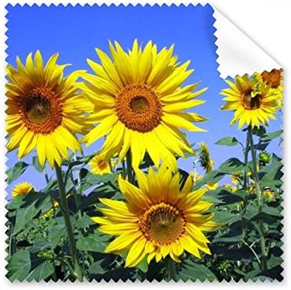 Sunshine Flowers Sunflowers Sceling Blue Cleaning Ploth Tela de tela Limpador 5pcs