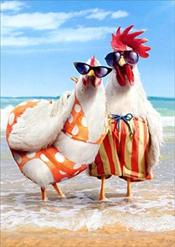 Avanti, casal de frango na praia
