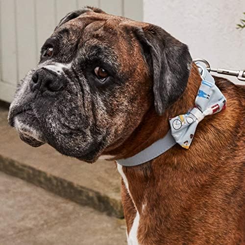 Marcas de animais de estimação Cath Kidston Dog Bush Trecy Gollar, Ajusta colar de cachorro de couro com gravata
