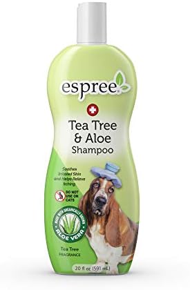 Espree Tea Tree & Aloe Medicated Shampoo, 20 onças