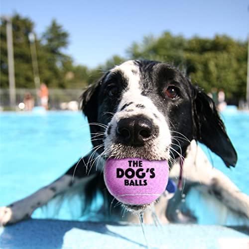 As bolas do cachorro, bolas de tênis de cachorro, brinquedo de cachorro lilás de 12 pacote, cão