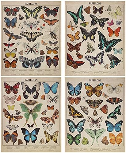 Posters de borboletas de borboletas de borboletas de borboletas vintage Papillons Butterflies Poster Arte da parede