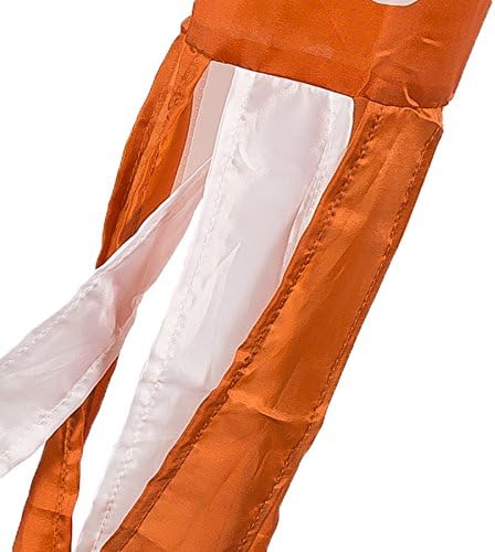 Flags e Banners College Co. Texas Longhorns Windsock