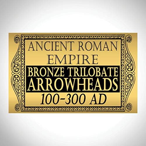 Exibição rara-t antiga do Museu Roman Trilobate Arrowhead