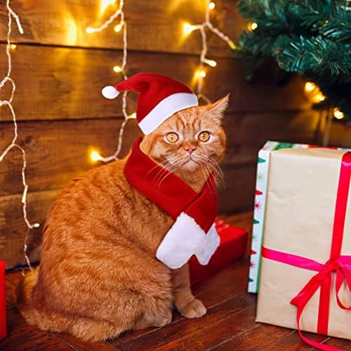 10 peças de Natal Cat Papai Noel Chapéus com cachecol e colarinho, fantasias de gato de natal Pet Papai Noel Hat