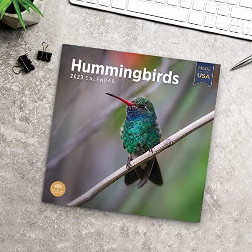 2023 Hummingbirds Monthly Wall Calendário por dia brilhante, fabricado nos EUA, 12 x 12 polegadas,