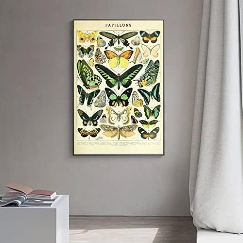 Kway Vintage Butterfly Poster Decoração de parede - Butterflies Pripas de arte de parede - estilo rústico de